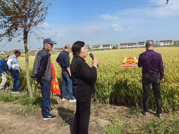 圖片1.png 圖片1.png